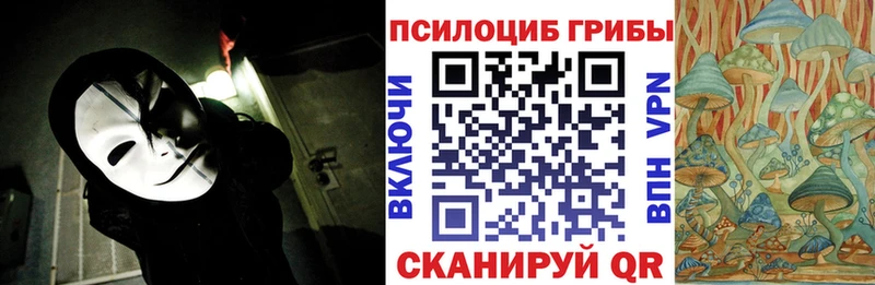 как найти   Краснокаменск  Псилоцибиновые грибы мухоморы 